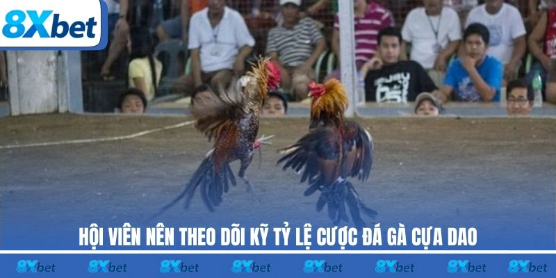 Hội viên nên theo dõi kỹ tỷ lệ cược đá gà cựa dao